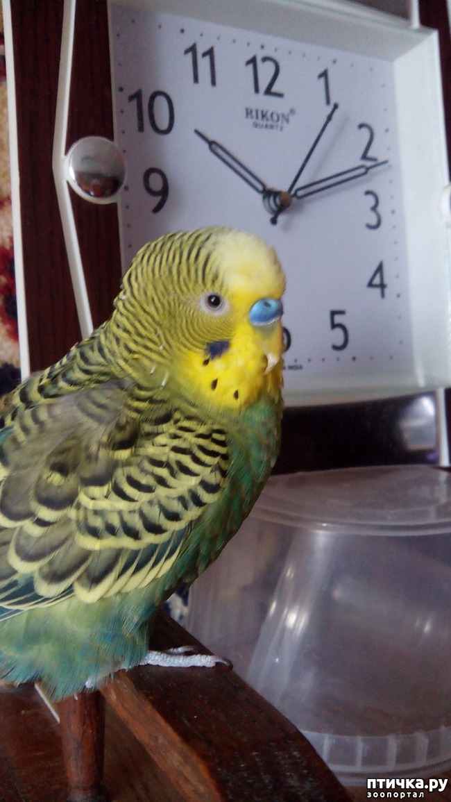 ���� 1: ��� � ���� ���� �����������