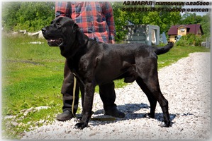 ����: ��������� ����. ����� ������� �� ���� ������