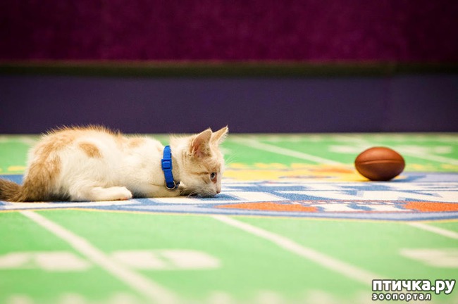 ���� 3: ������ ��� �����