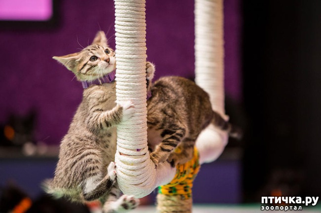 ���� 4: ������ ��� �����