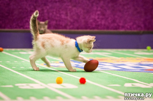 ���� 5: ������ ��� �����