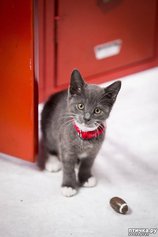 ���� 6: ������ ��� �����