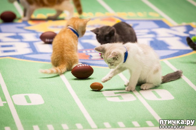 ���� 7: ������ ��� �����