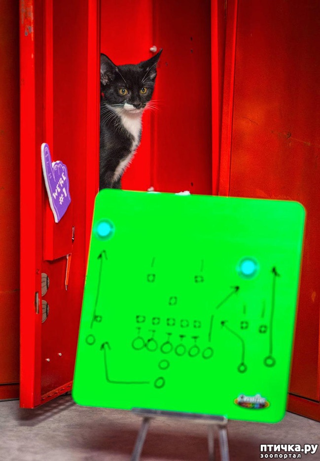 ���� 10: ������ ��� �����