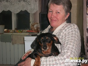 ����: � ����� � � �������� �� �������