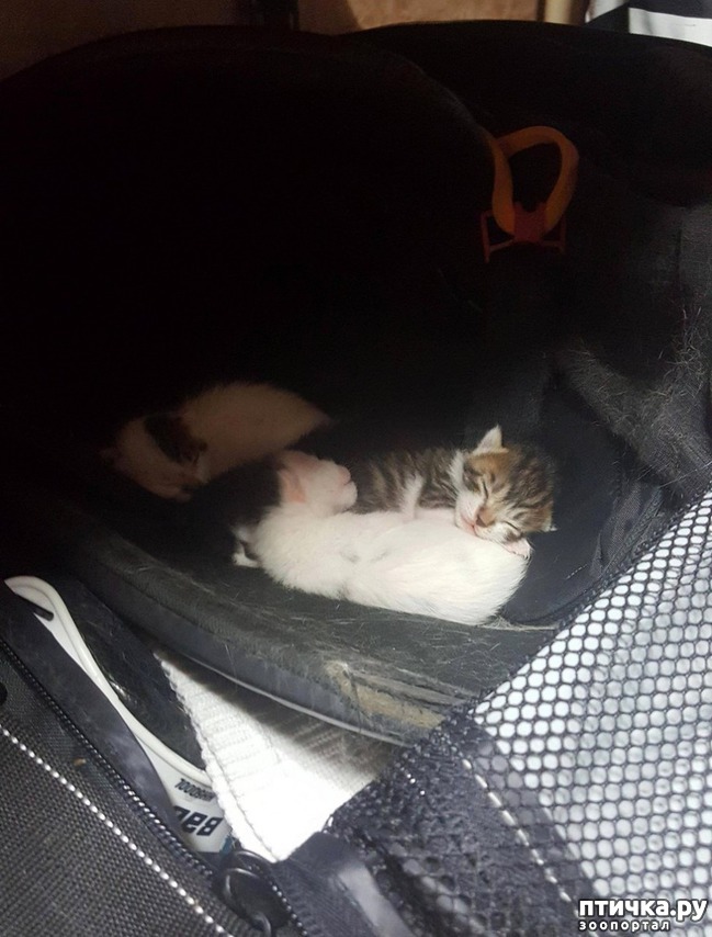 ���� 3: �������� ����� � ����� ����� �������������� ������� �� ������� �������� �����)))