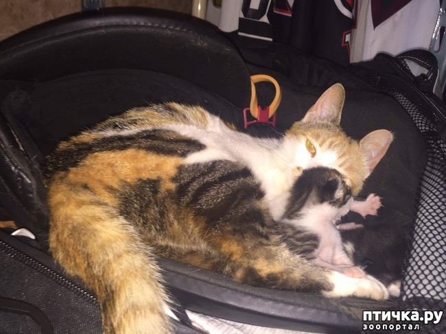 ���� 4: �������� ����� � ����� ����� �������������� ������� �� ������� �������� �����)))