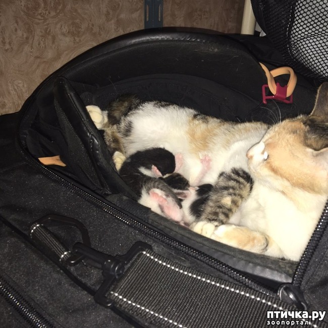 ���� 5: �������� ����� � ����� ����� �������������� ������� �� ������� �������� �����)))