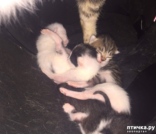 ���� 6: �������� ����� � ����� ����� �������������� ������� �� ������� �������� �����)))