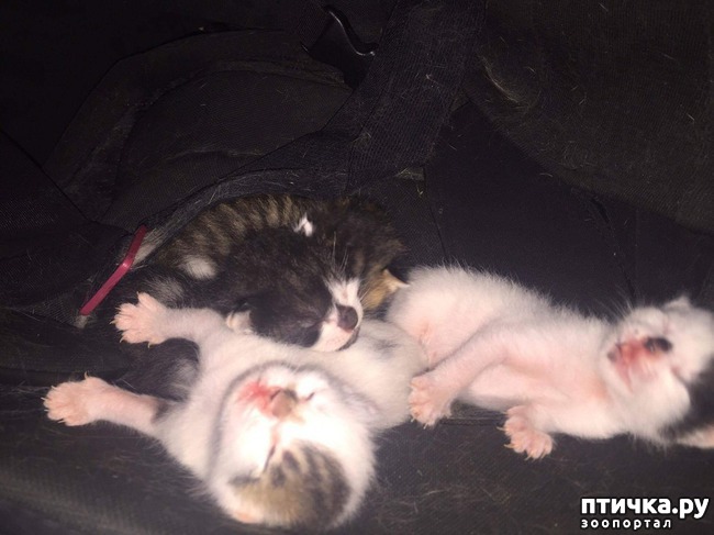 ���� 7: �������� ����� � ����� ����� �������������� ������� �� ������� �������� �����)))