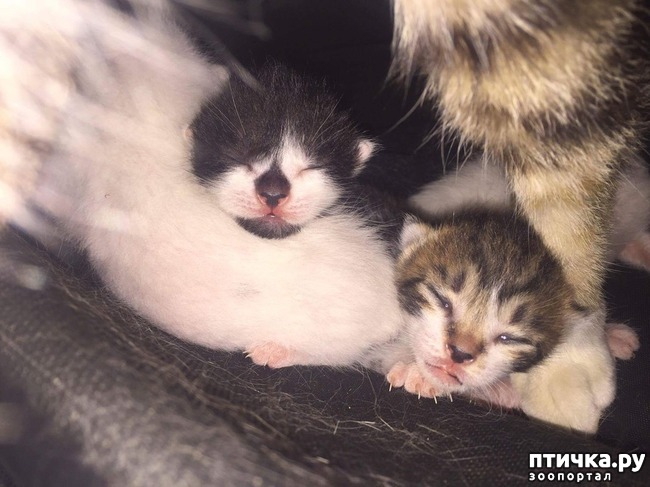 ���� 8: �������� ����� � ����� ����� �������������� ������� �� ������� �������� �����)))