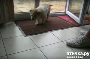 ����: ����������� ����� �������� ���� ����� ��������))