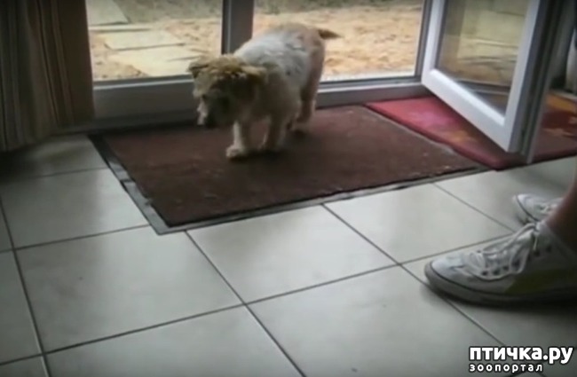 ���� 1: ����������� ����� �������� ���� ����� ��������))