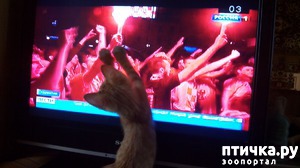 ����: ���������� ������� �����