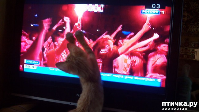 ���� 1: ���������� ������� �����