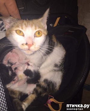 ����: �������� ����� � ����� ����� �������������� ������� �� ������� �������� �����)))