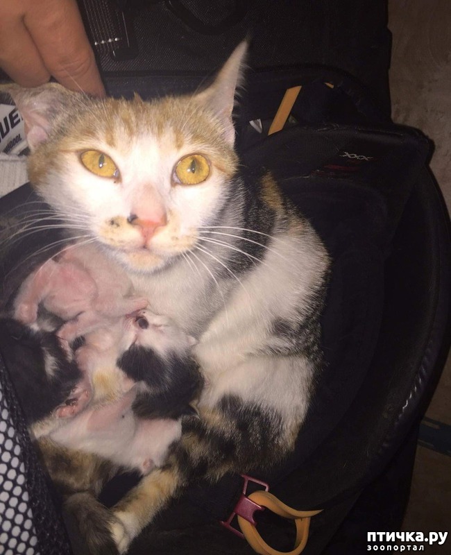 ���� 1: �������� ����� � ����� ����� �������������� ������� �� ������� �������� �����)))