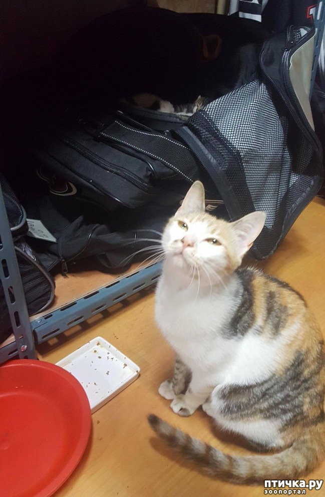 ���� 2: �������� ����� � ����� ����� �������������� ������� �� ������� �������� �����)))