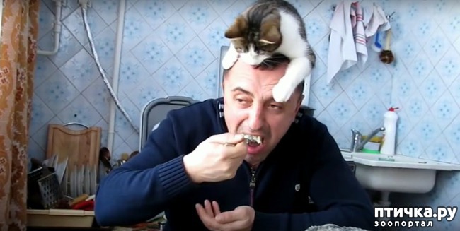 ���� 1: ���� �������� ������� ���� ���� ����� �������� �� ������)))