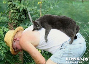 ����: �����������: ��� � ������-2.