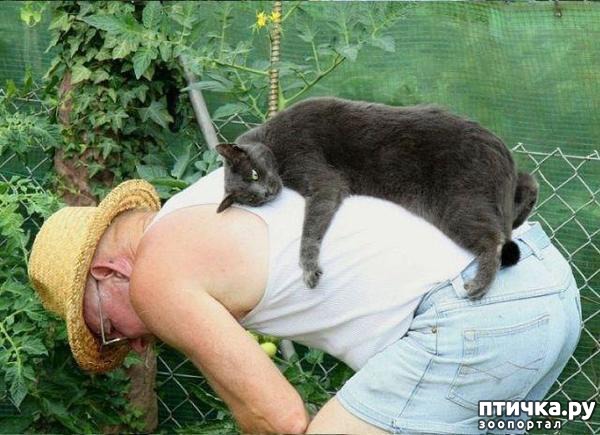 ���� 1: �����������: ��� � ������-2.