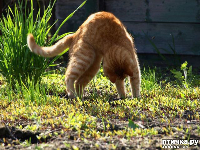 ���� 3: �����������: ��� � ������-2.