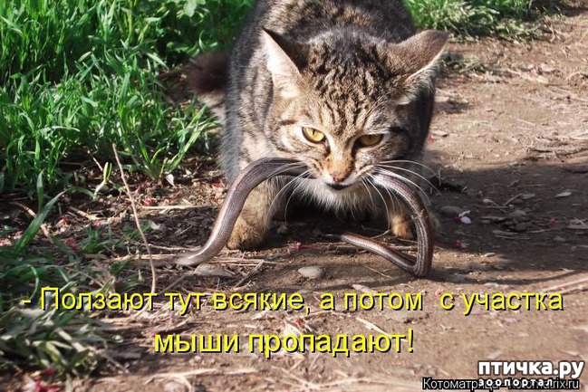 ���� 6: �����������: ��� � ������-2.