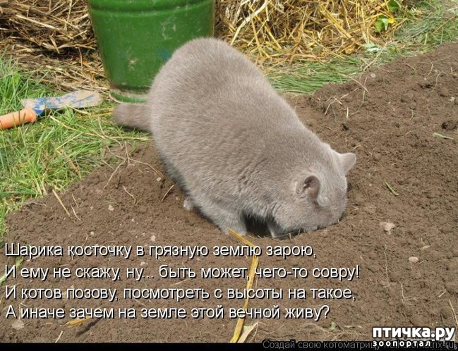 ���� 7: �����������: ��� � ������-2.