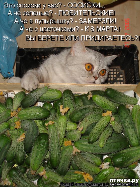 ���� 8: �����������: ��� � ������-2.