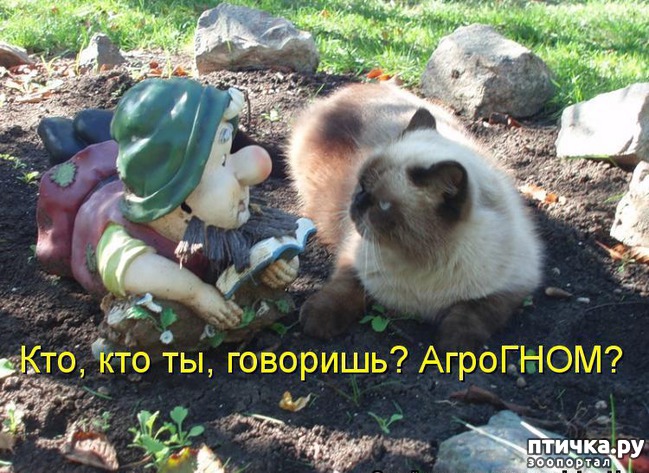 ���� 10: �����������: ��� � ������-2.