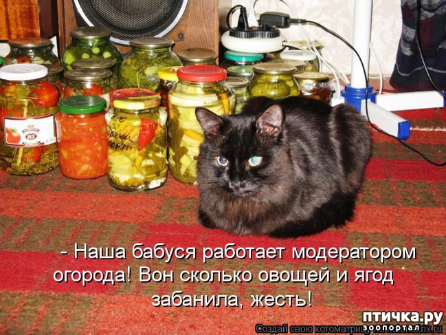 ���� 12: �����������: ��� � ������-2.