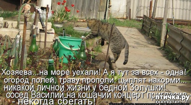 ���� 13: �����������: ��� � ������-2.