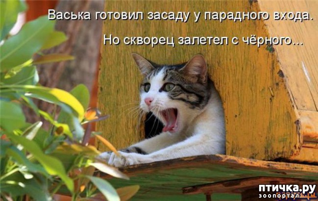 ���� 14: �����������: ��� � ������-2.