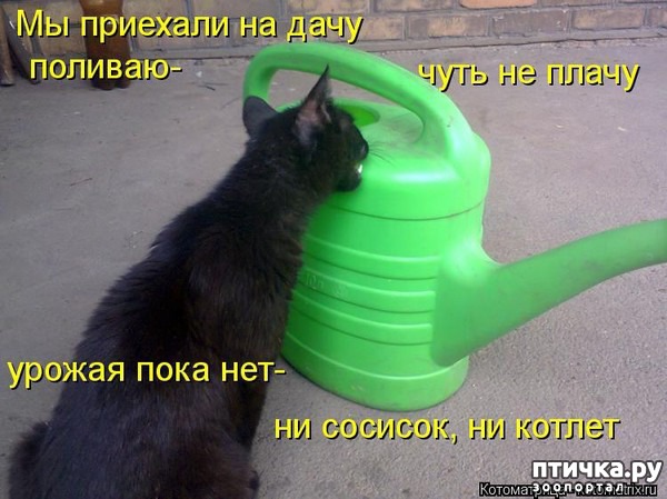 ���� 15: �����������: ��� � ������-2.