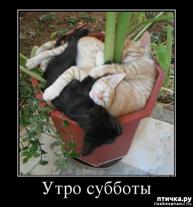 ���� 16: �����������: ��� � ������-2.