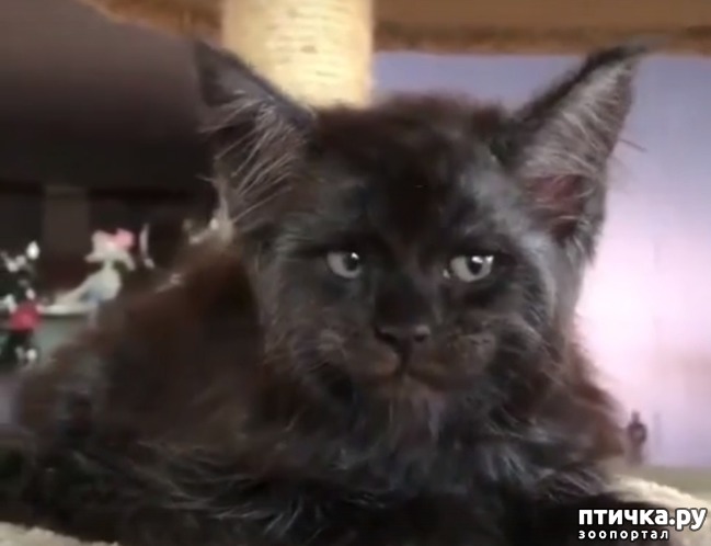 ���� 3: ��� � ������ �� ���?