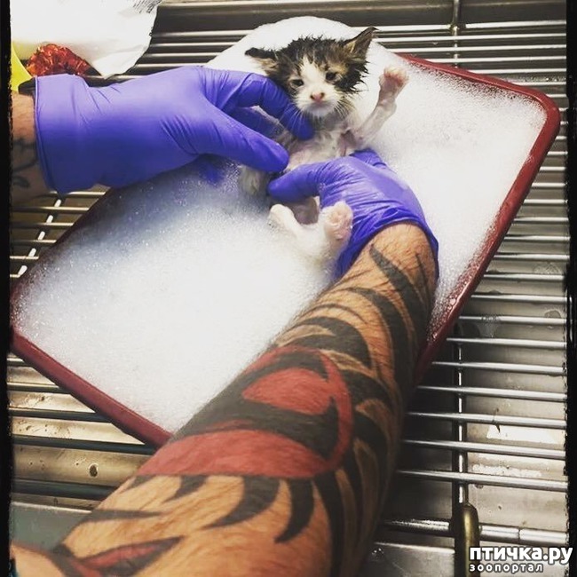 ���� 10: � ����� ������� ������ ������ � ����