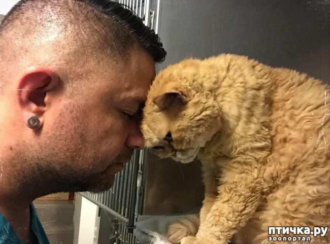 ���� 12: � ����� ������� ������ ������ � ����