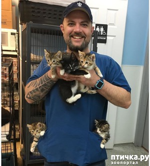 фотография: У ЭТОГО МУЖЧИНЫ ЛУЧШАЯ РАБОТА В МИРЕ фото: У ЭТОГО МУЖЧИНЫ ЛУЧШАЯ РАБОТА В МИРЕ