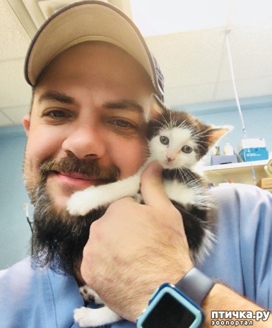 ���� 2: � ����� ������� ������ ������ � ����