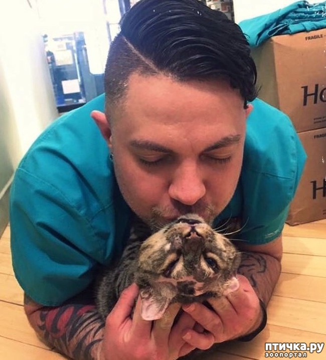 ���� 4: � ����� ������� ������ ������ � ����