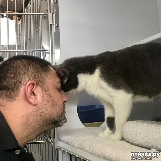 ���� 6: � ����� ������� ������ ������ � ����