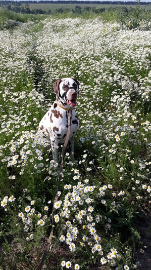 ����: ��������� � �������)))