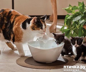 ����: �������� ���������� ��� �����