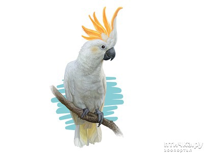 ���� 1: ������ - 2