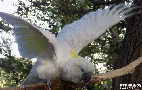 ���� 3: ������ - 2