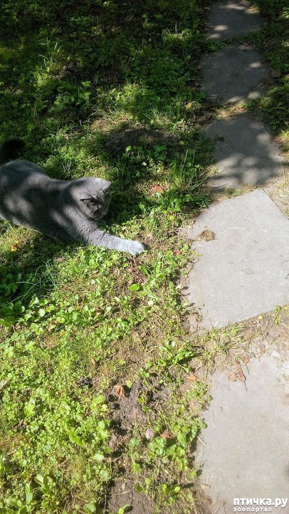 ���� 11: ��� ��� �����, ���� ����...