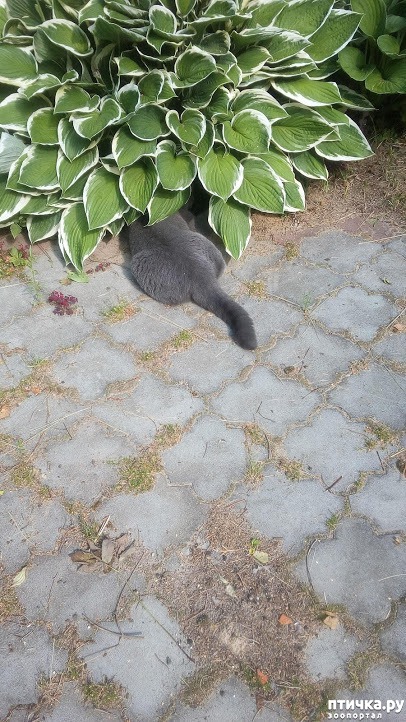 ���� 13: ��� ��� �����, ���� ����...