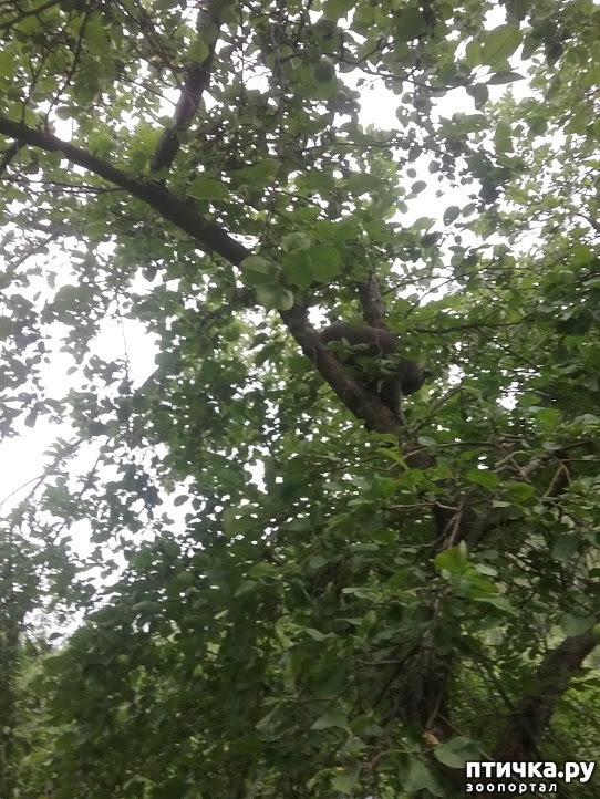 ���� 14: ��� ��� �����, ���� ����...