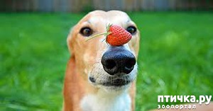 ����: ������ � ����� ��� �����.